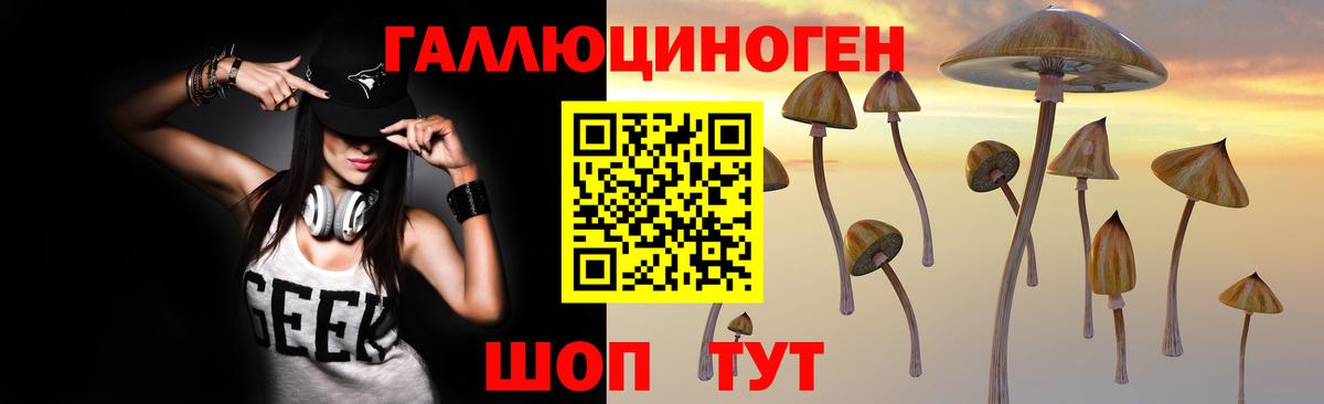Ахтубинск  Галлюциногенные грибы Cubensis  Вход с VPN 